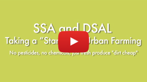 thumbnail of youtube video